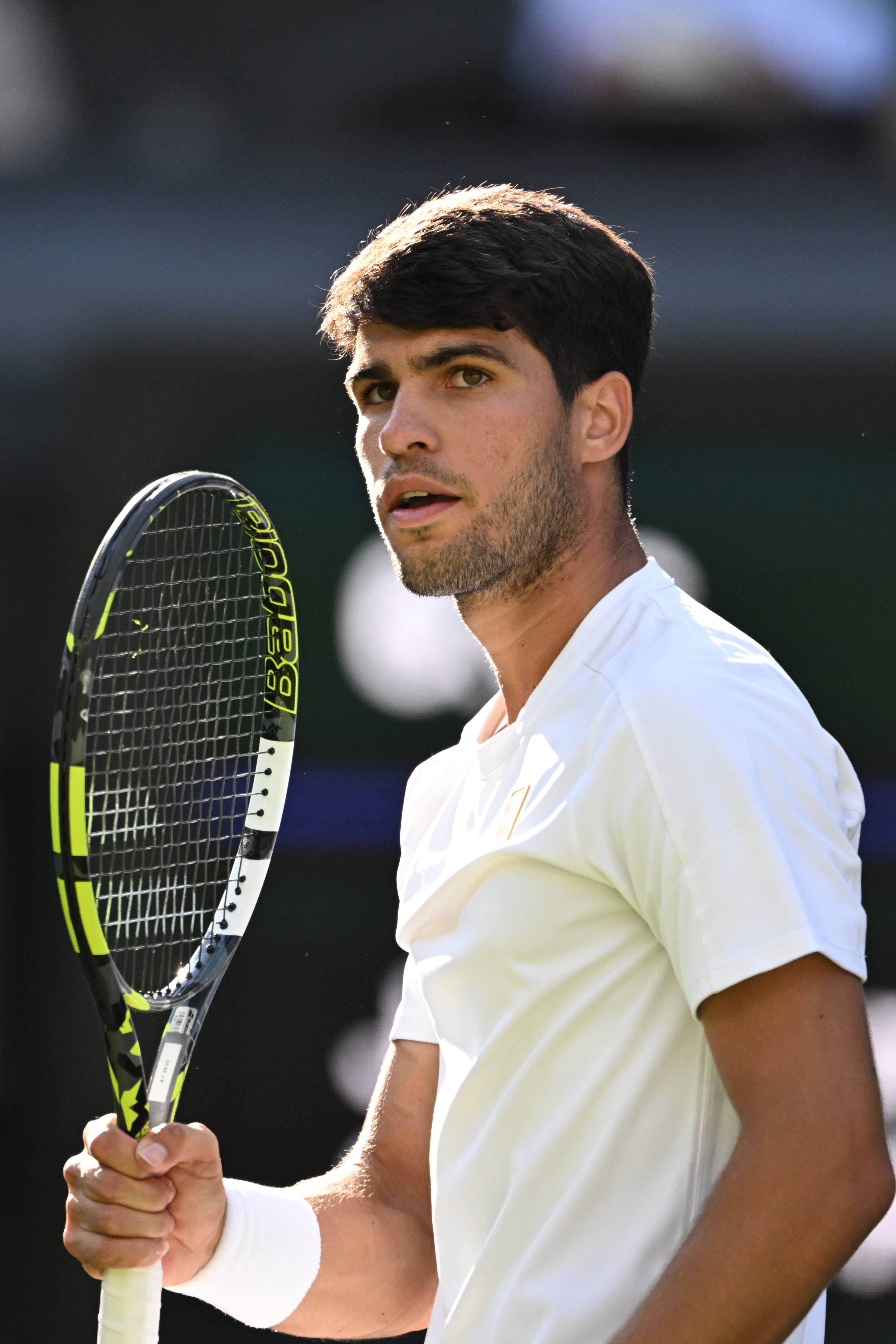 阿尔卡拉斯最新消息